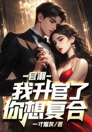 官潮，我升官了你想复合？