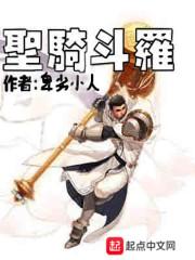 圣骑斗罗