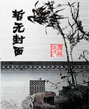 一代风流女寨主柳如风
