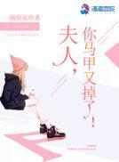 最新更新