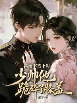 离婚书签下时，少帅他跪碎了膝盖